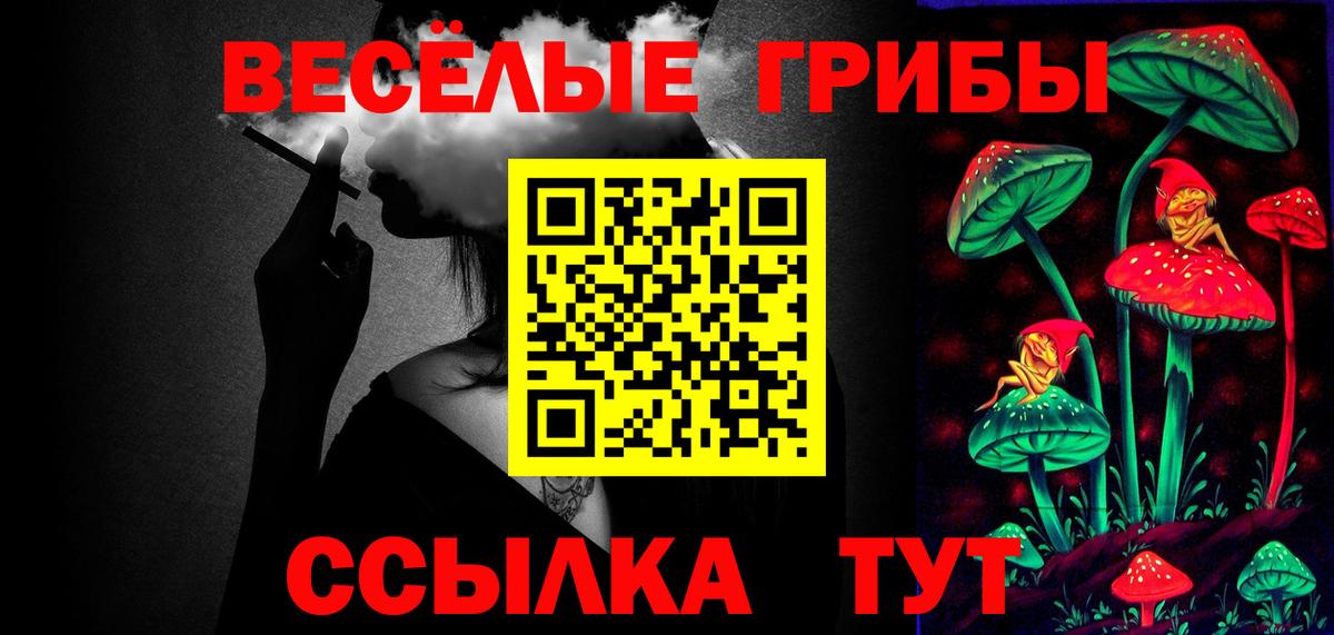 Котлас  купить наркотик  Галлюциногенные грибы мухоморы  Вход с VPN  Галлюциногенные грибы мухоморы 