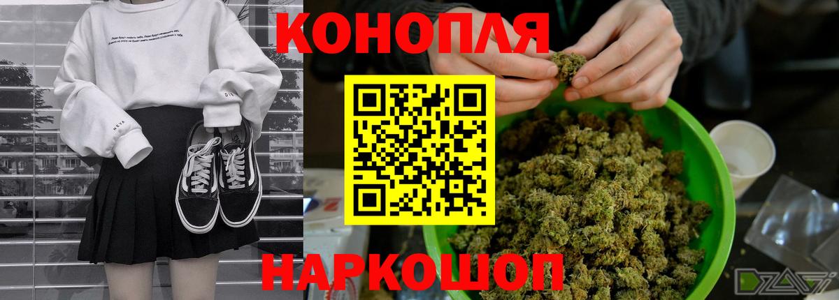 Каннабис OG Kush Котлас